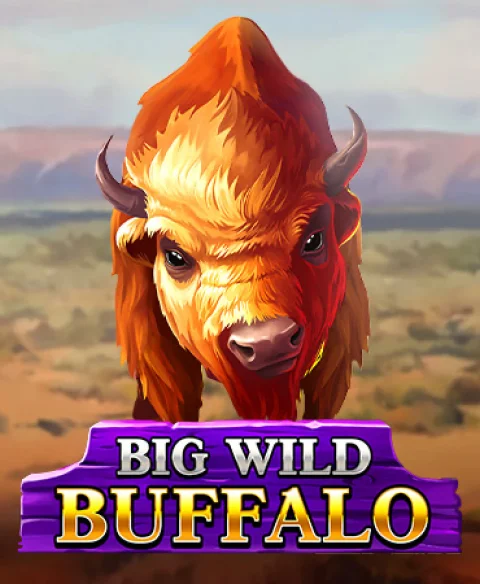 Play Big Wild Buffalo at A Play Casino